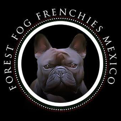 Forestfrog Frenchies logo
